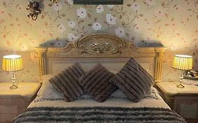 Nice Comfy House